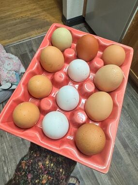 BLUE HARBOR GLAZED CERAMIC EGG HOLDER IN A BEAUTIFUL CORAL BRAND NEW